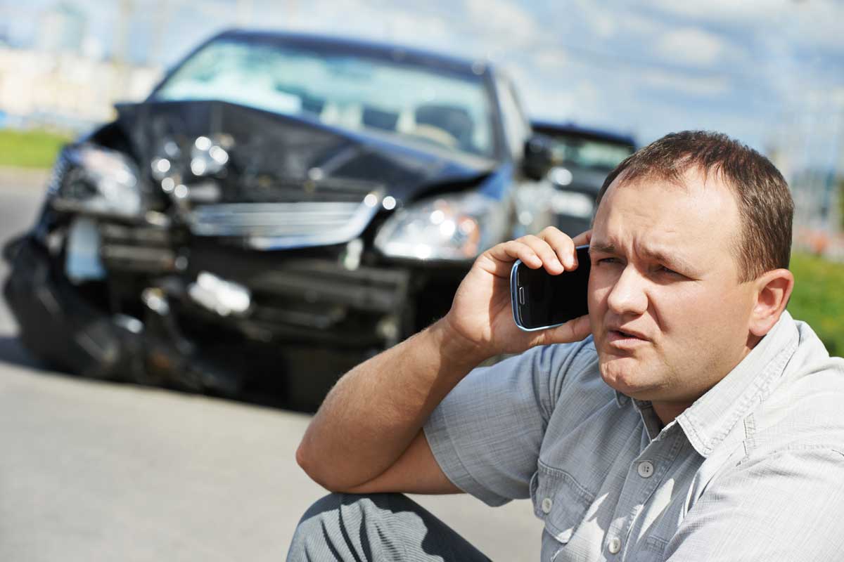 Read more about the article Does Car Insurance Cover Animal Damage?